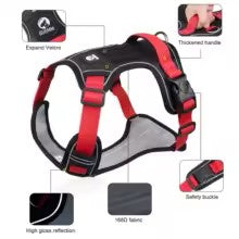 DogStrap